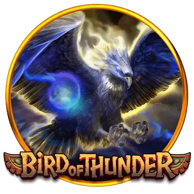 Bird of Thunder screenshot